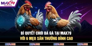 Bí Quyết Chơi Đá Gà Tại MAX79 Với 6 Mẹo Săn Thưởng Đỉnh Cao