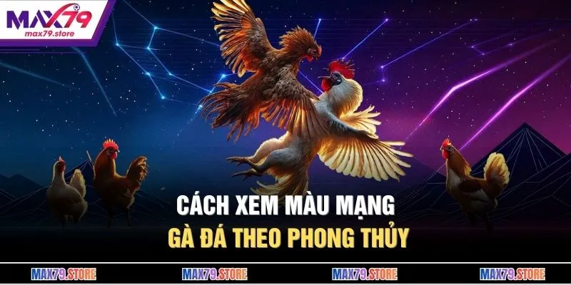 Cách xem màu mạng gà đá theo phong thủy