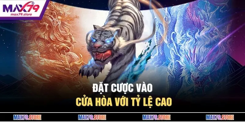 Đặt cược vào cửa hòa với tỷ lệ cao