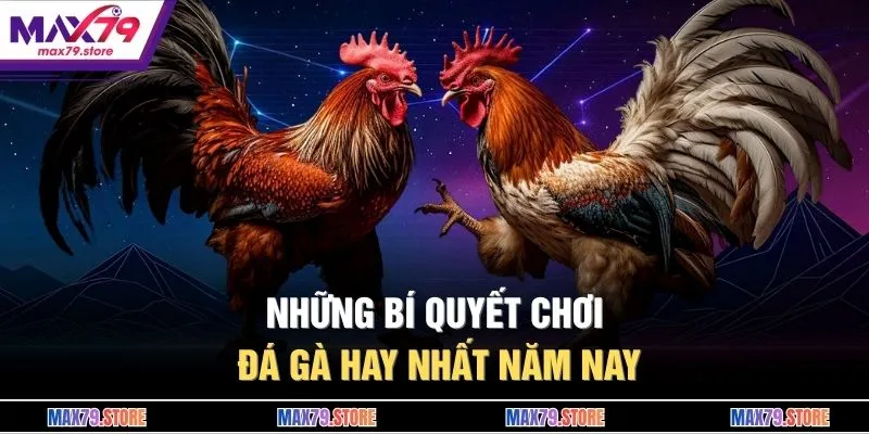 Những bí quyết chơi đá gà hay nhất năm nay