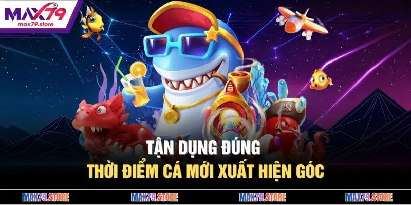 Tận dụng đúng thời điểm cá mới xuất hiện góc