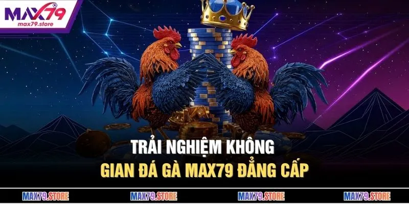 Trải nghiệm không gian đá gà MAX79 đẳng cấp 
